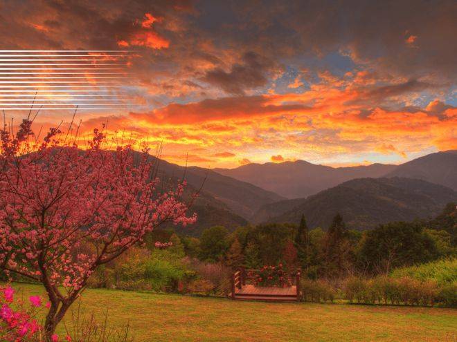 基于这些原因<strong></p>
<p>币安交易平台</strong>，币安币 [BNB] 可能会在第四季度让交易者失望