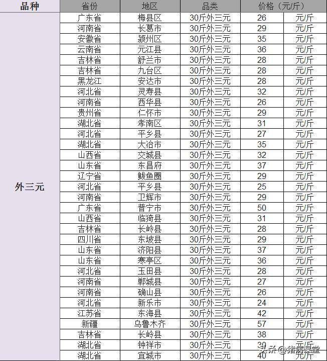 今日仔猪价格｜全国各地20-40斤仔猪价格行情<strong></p>
<p>比特币今日价格行情</strong>，金仔猪行情继续