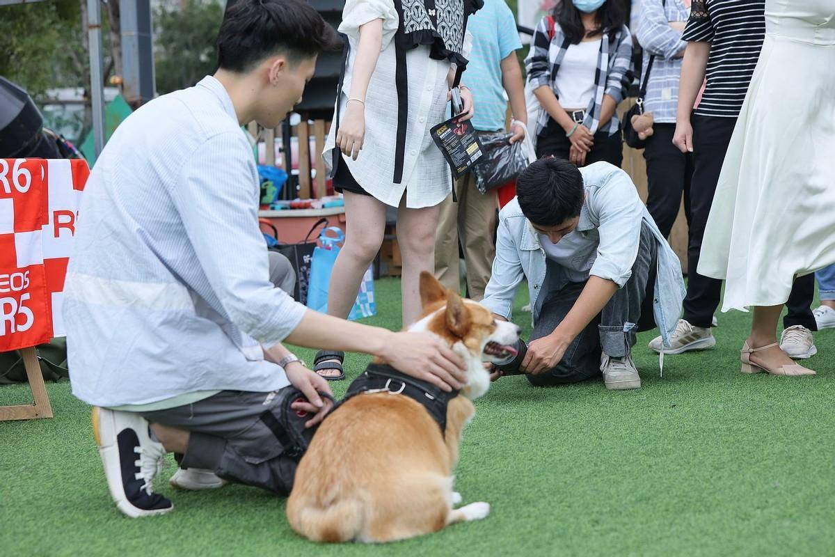 宠爱有佳 佳能EOS重庆站拍萌宠创意大片