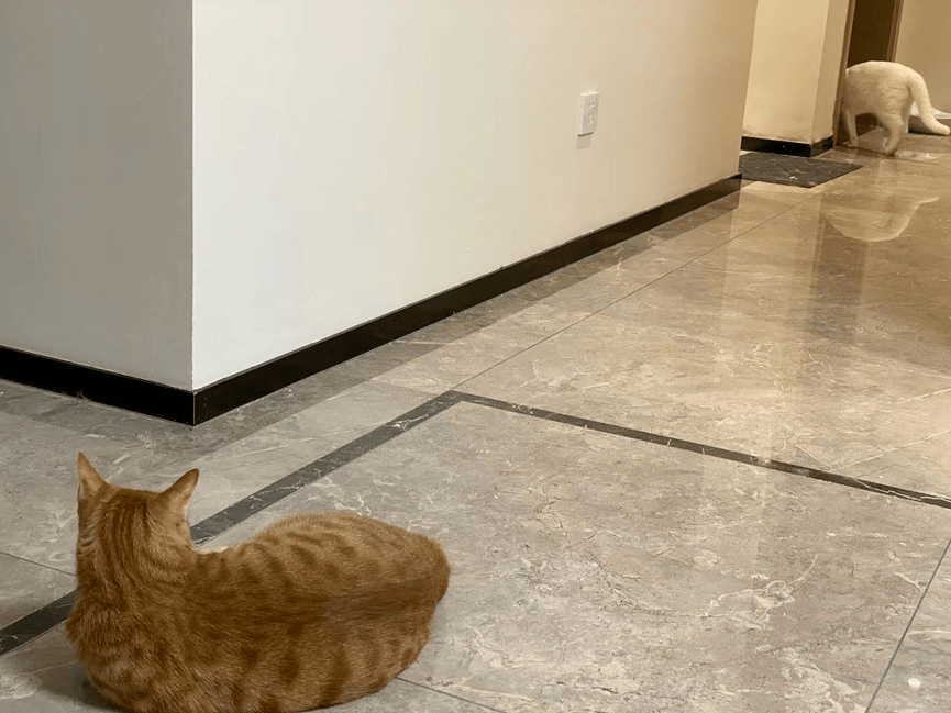 床Po扫到吐开出EOS牌子