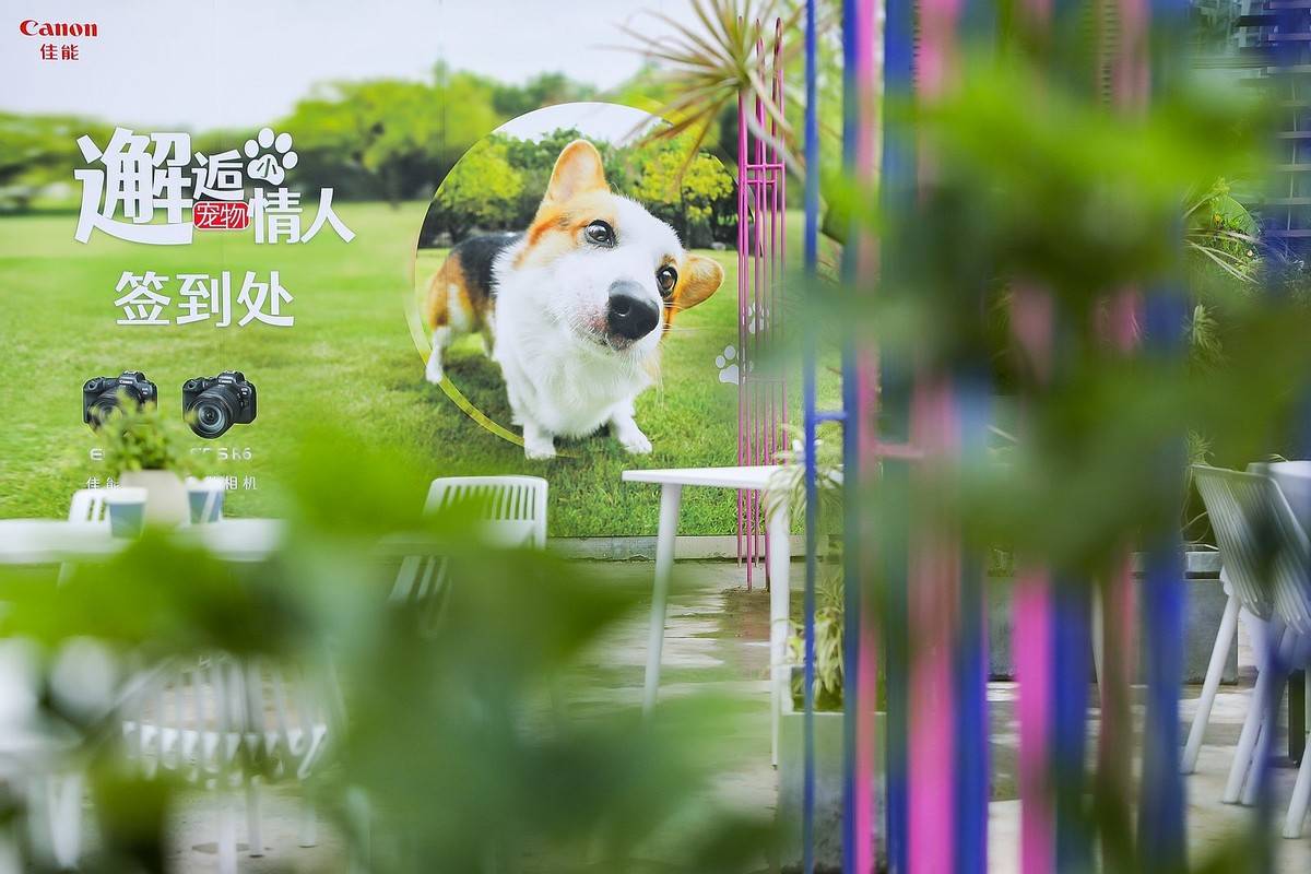 邂逅宠物小情人 佳能EOS深圳站摄影讲座开讲！