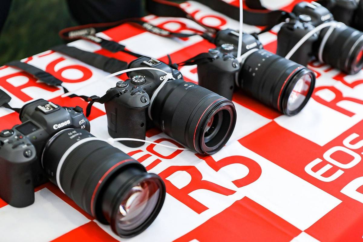 邂逅宠物小情人 佳能EOS深圳站摄影讲座开讲<strong></p>
<p>eos行情</strong>！