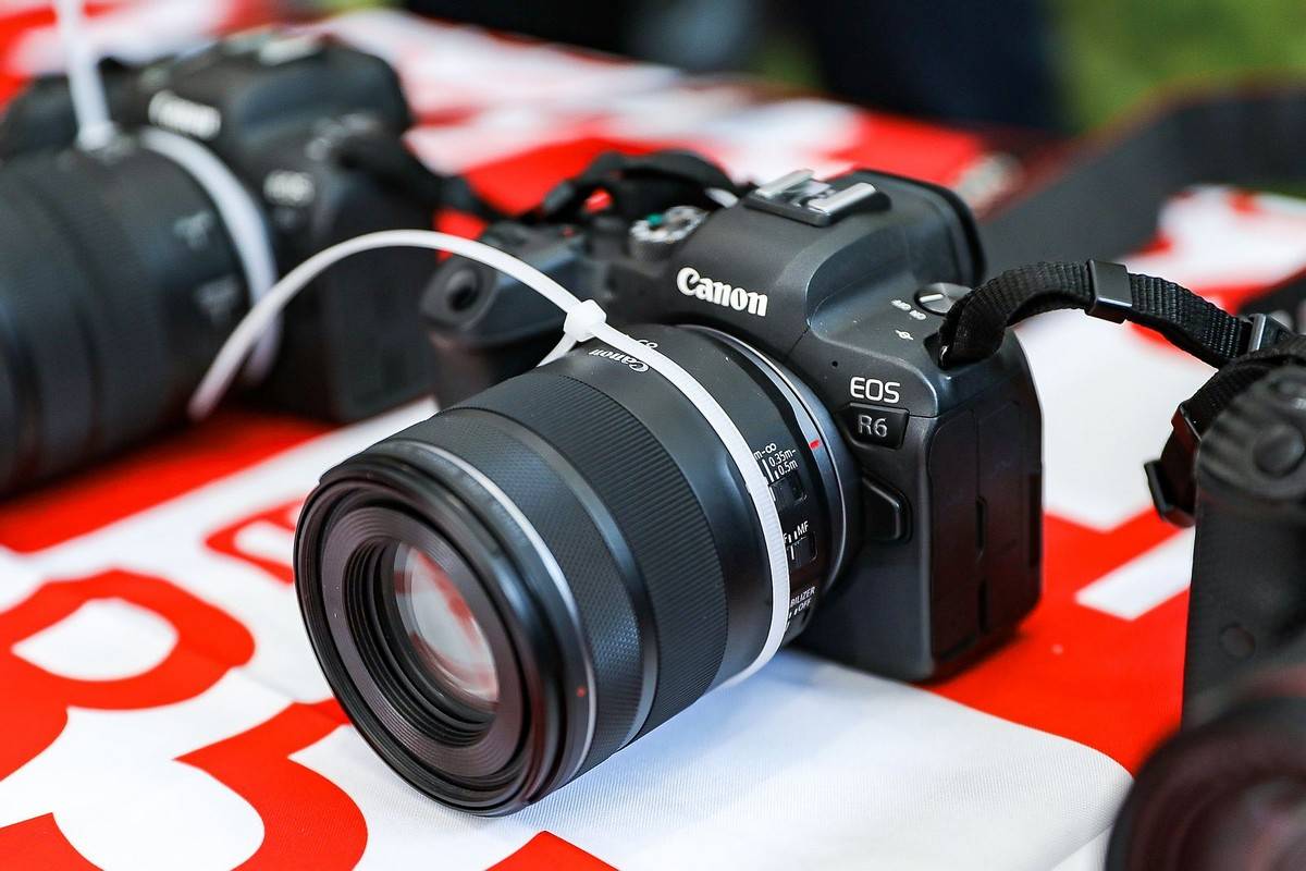 邂逅宠物小情人 佳能EOS深圳站摄影讲座开讲<strong></p>
<p>eos行情</strong>！