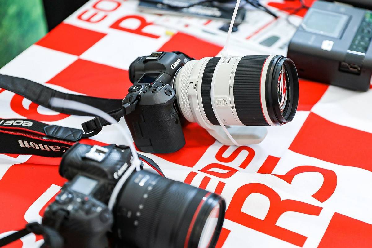 邂逅宠物小情人 佳能EOS深圳站摄影讲座开讲<strong></p>
<p>eos行情</strong>！