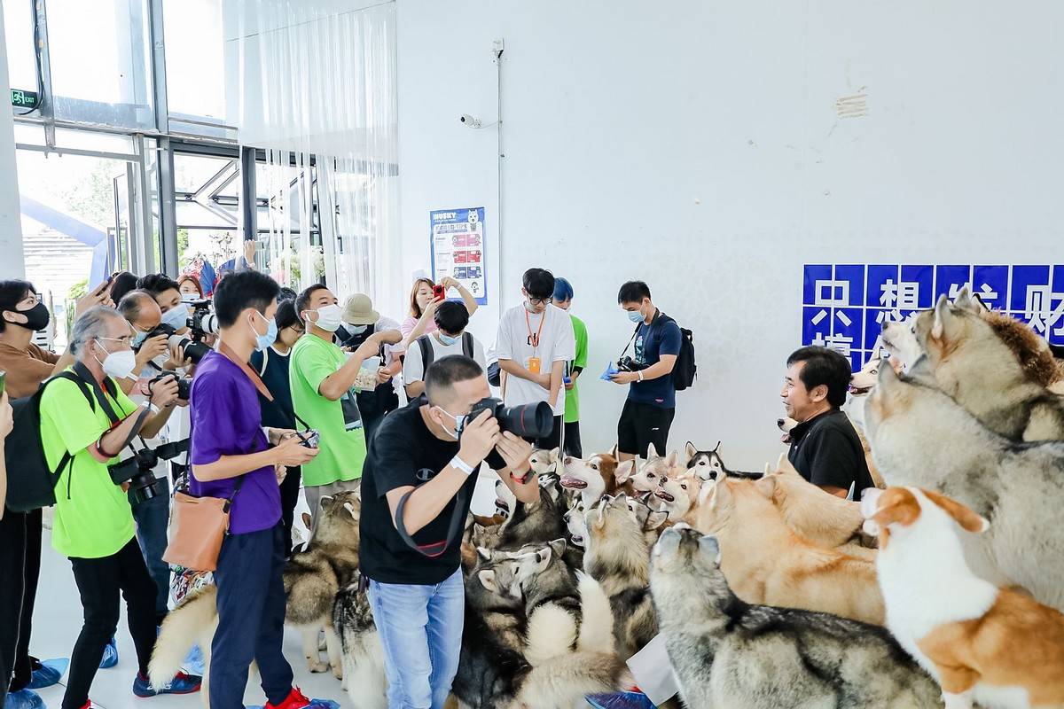 邂逅宠物小情人 佳能EOS深圳站摄影讲座开讲<strong></p>
<p>eos行情</strong>！