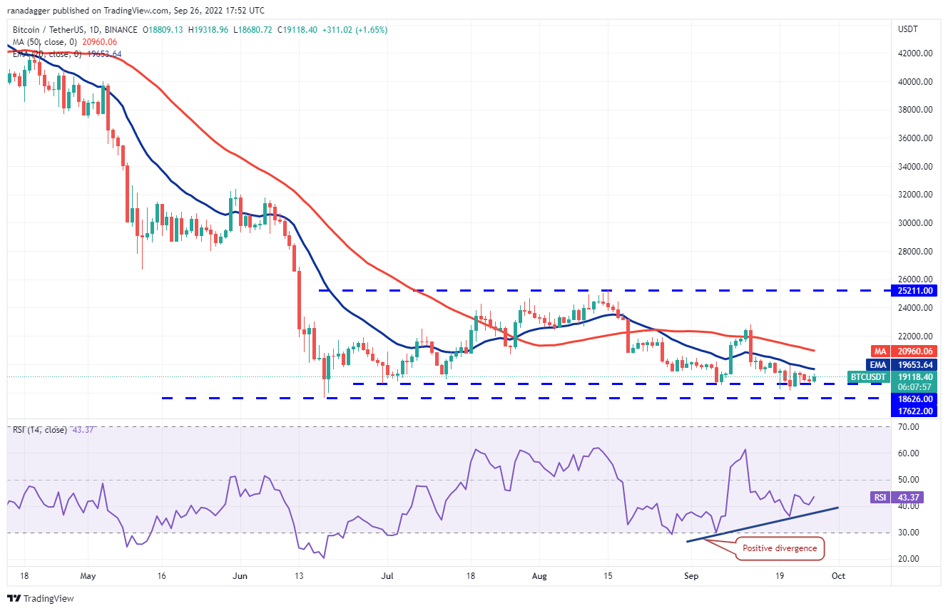 价格分析 ：BTC、ETH、BNB、XRP、ADA、SOL、DOGE、DOT、MATIC、SHIB