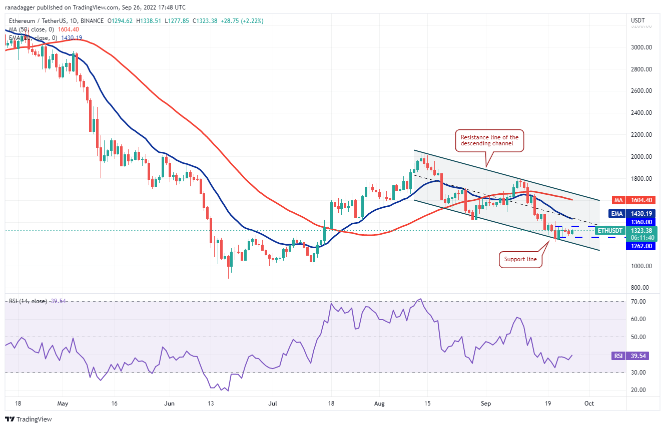 价格分析 ：BTC、ETH、BNB、XRP、ADA、SOL、DOGE、DOT、MATIC、SHIB