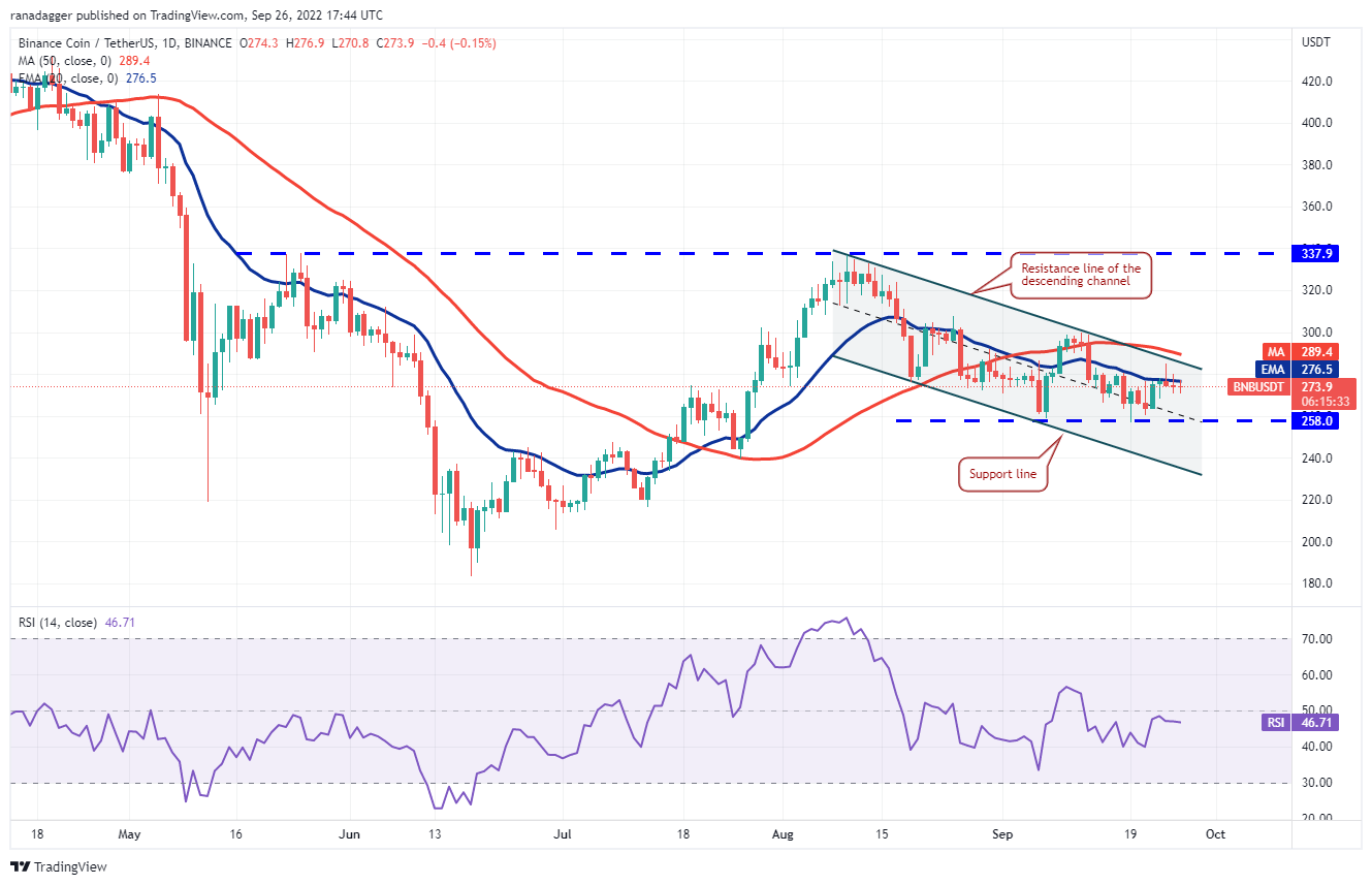 价格分析 ：BTC、ETH、BNB、XRP、ADA、SOL、DOGE、DOT、MATIC、SHIB