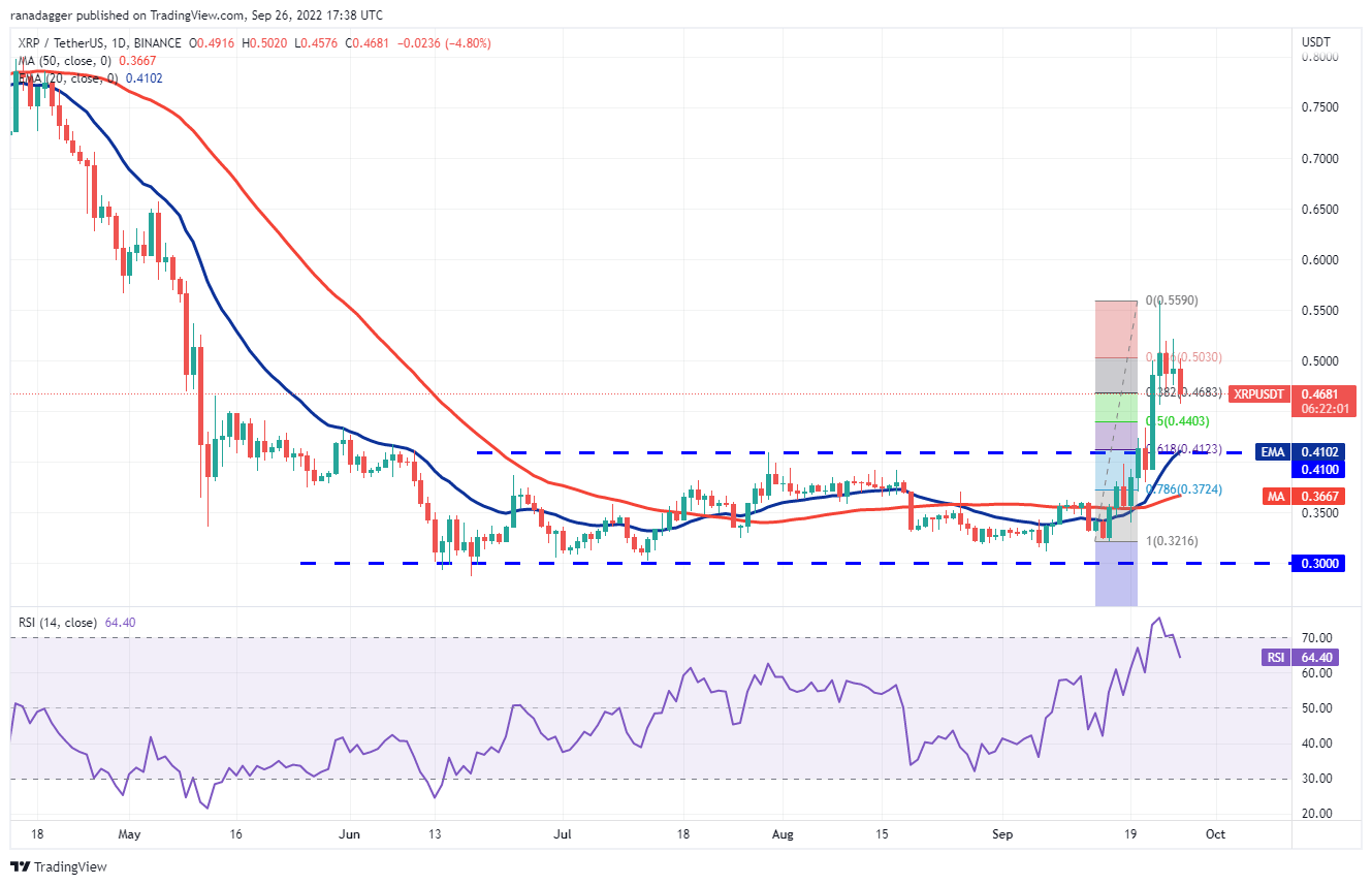 价格分析 ：BTC、ETH、BNB、XRP、ADA、SOL、DOGE、DOT、MATIC、SHIB