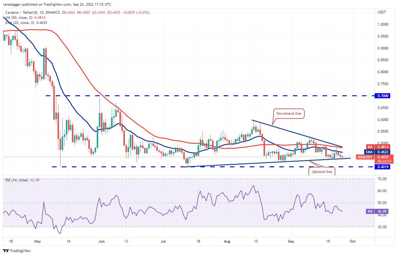 价格分析 ：BTC、ETH、BNB、XRP、ADA、SOL、DOGE、DOT、MATIC、SHIB