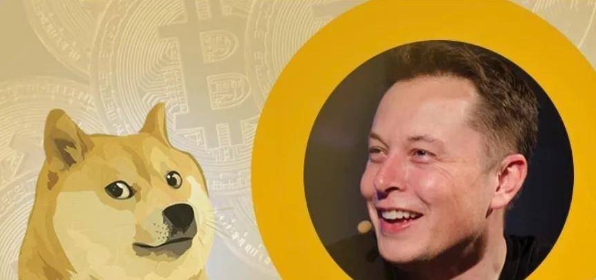 狗狗币的路为啥越走越歪<strong></p>
<p>狗狗币行情</strong>？为你讲述狗狗币的前世今生