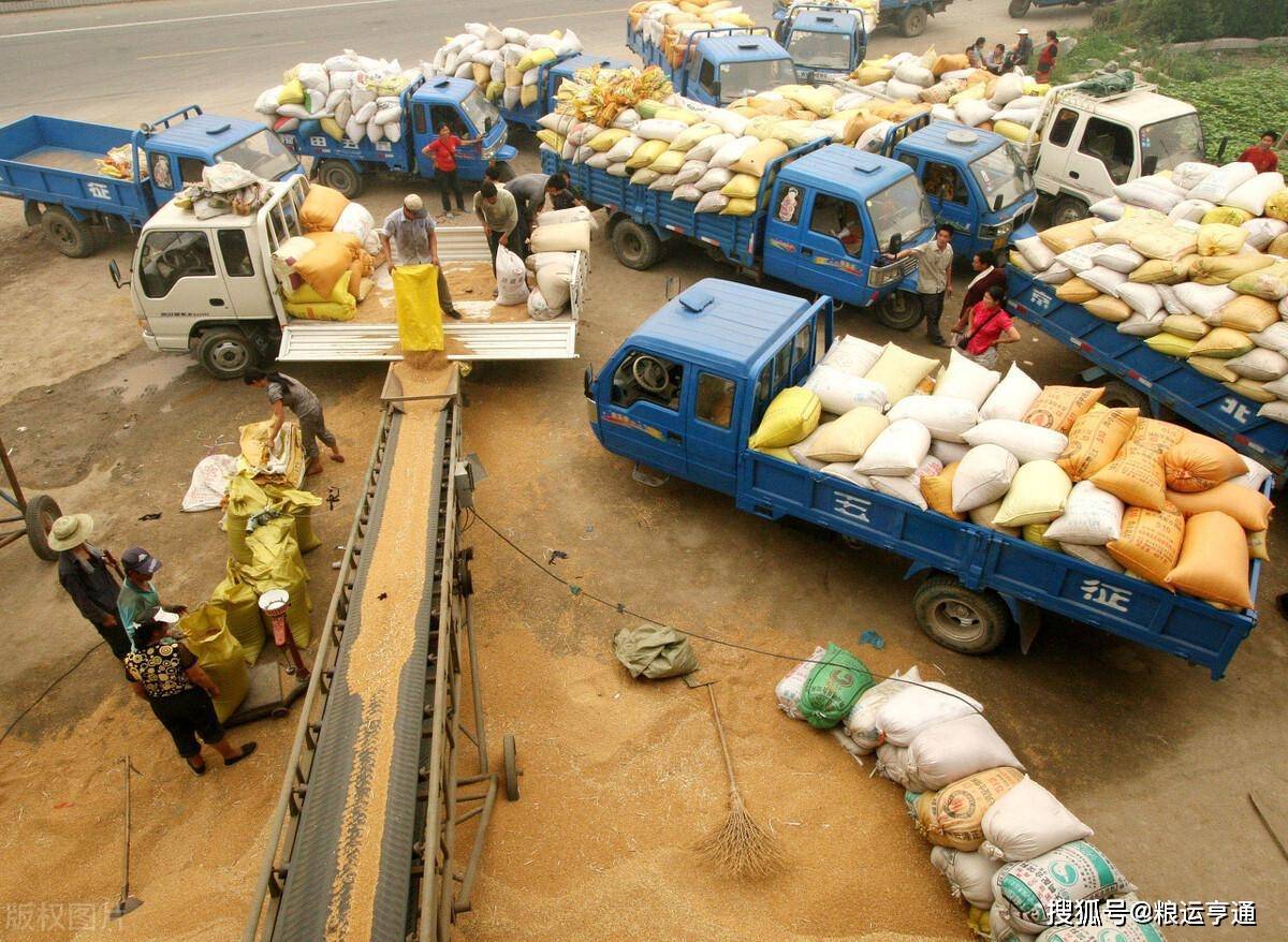 今日小麦价格行情<strong></p>
<p>比特币价格今日行情</strong>！8月28日