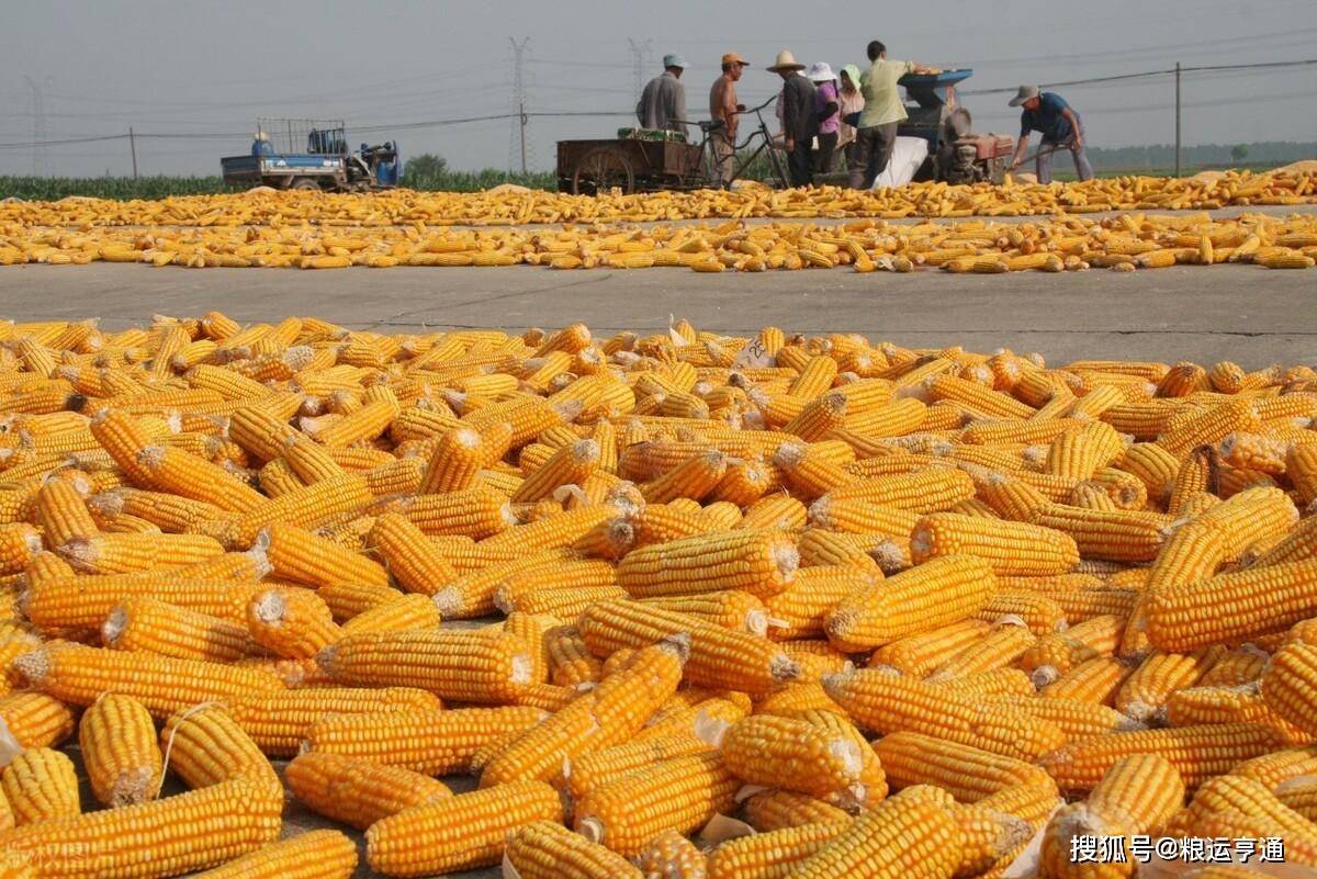 今日玉米价格行情<strong></p>
<p>比特币价格今日行情</strong>！8月29日