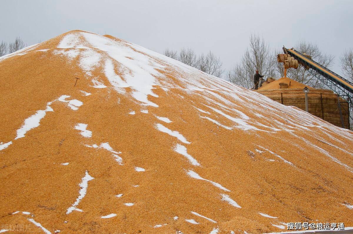 今日玉米价格行情<strong></p>
<p>比特币价格今日行情</strong>！8月29日