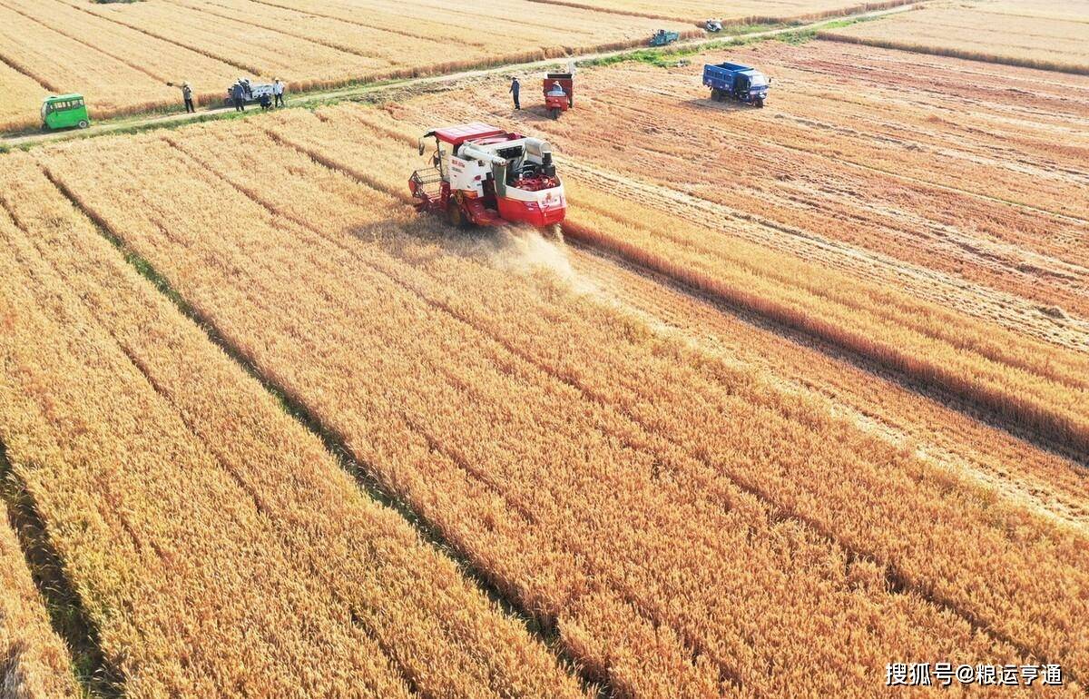 今日小麦价格行情<strong></p>
<p>比特币价格今日行情</strong>！8月10日