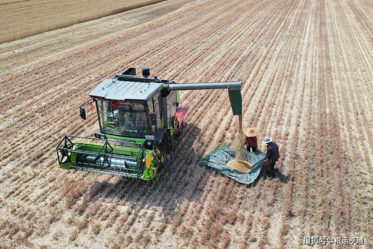 今日小麦价格<strong></p>
<p>比特币价格今日行情</strong>！8月20日最新行情