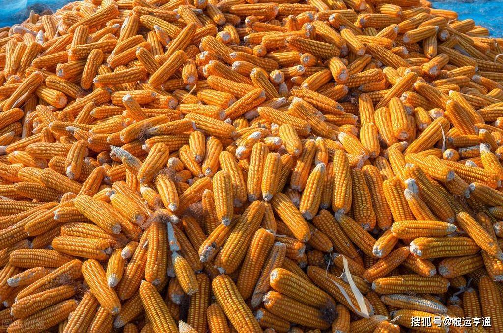 今日玉米价格<strong></p>
<p>比特币价格今日行情</strong>！8月21日最新行情