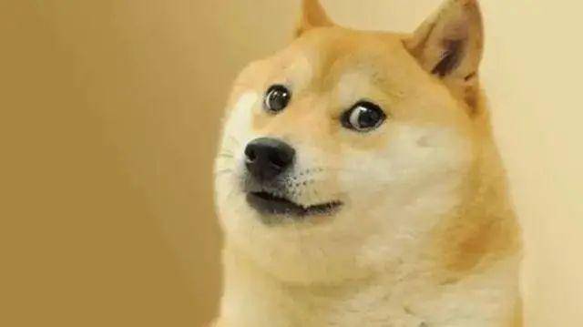 狗狗币是啥<strong></p>
<p>比特币官方网站</strong>？为啥马斯克喜欢它？为啥在Twitter被收购后5天翻倍？