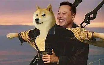 狗狗币是啥<strong></p>
<p>比特币官方网站</strong>？为啥马斯克喜欢它？为啥在Twitter被收购后5天翻倍？