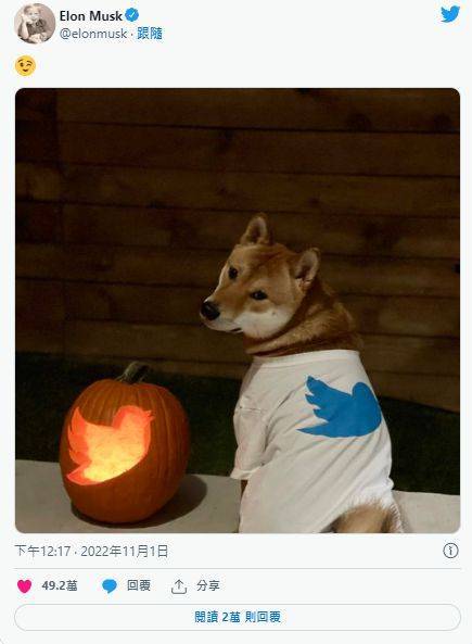 前50大Doge鲸鱼一天增持4.8亿枚、拥64%代币<strong></p>
<p>狗狗币今日价格</strong>！狗狗币大涨3成