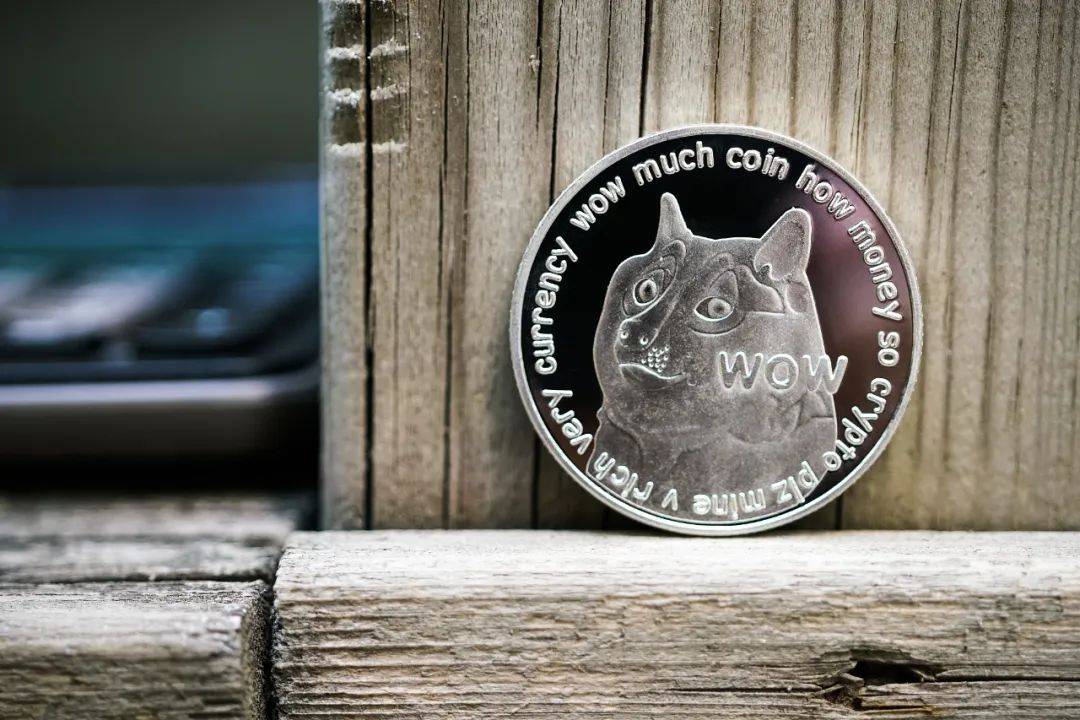 狗狗币跌到“狗带”，炒家状告马斯克索赔1.7万亿元，特斯拉、space X也成被告