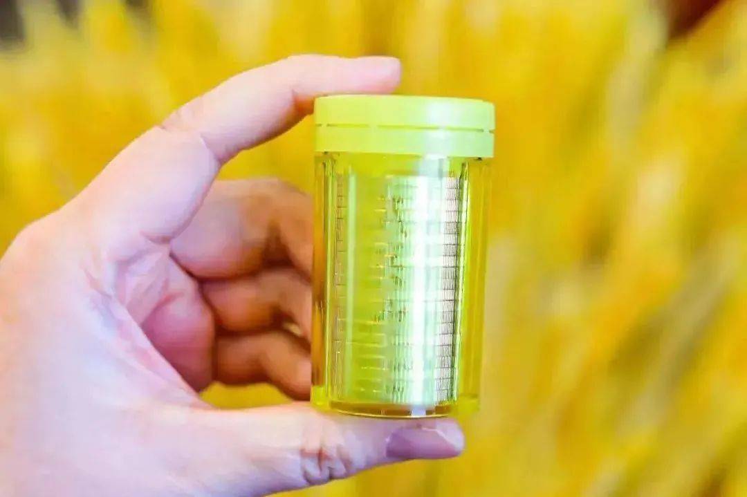 最后的机会<strong></p>
<p>中币</strong>，虎币每人20枚，2元封装币预约中