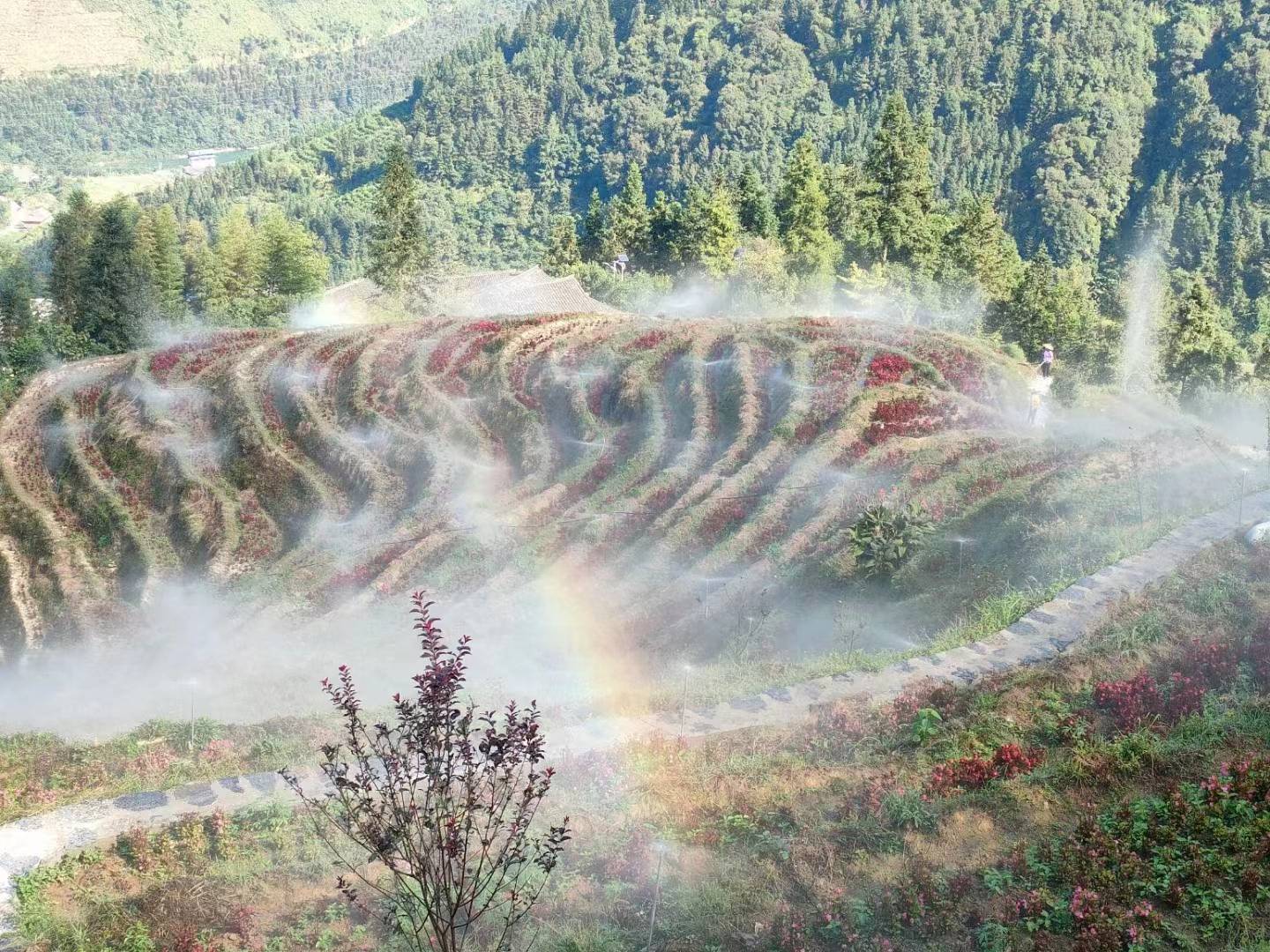 如何才能避免“变为职场中的劣币”？