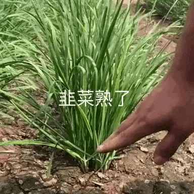 “ 人在币圈混，三天饿九顿<strong></p>
<p>各种币圈</strong>。​”