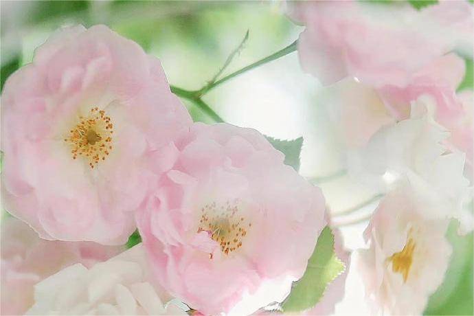 期权哪个开户平台好？