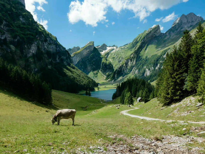 期权开通的条件有哪些？