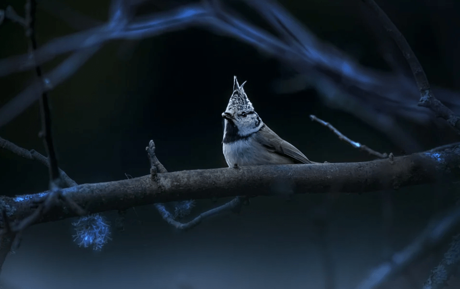 期权和股票有哪些区别<strong></p>
<p>军工股票有哪些</strong>？股票期权是什么？