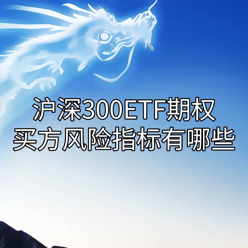 你知道沪深300ETF期权的买方风险指标有哪些吗？