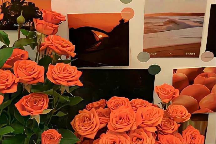 上证50股票期权怎么开户<strong></p>
<p>南京股票开户</strong>？