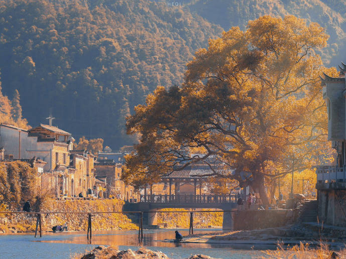 个股期权有什么样的开户条件<strong></p>
<p>股票建仓</strong>？