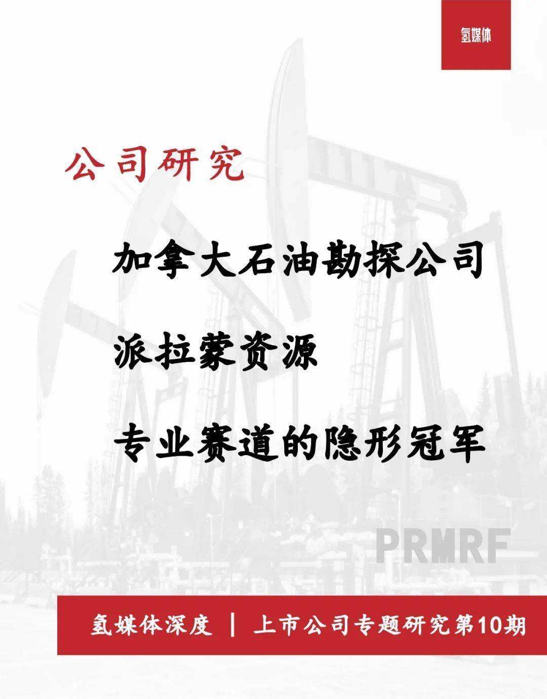 加拿大石油勘探公司派拉蒙资源 专业赛道的隐形冠军