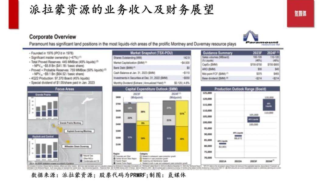 加拿大石油勘探公司派拉蒙资源 专业赛道的隐形冠军