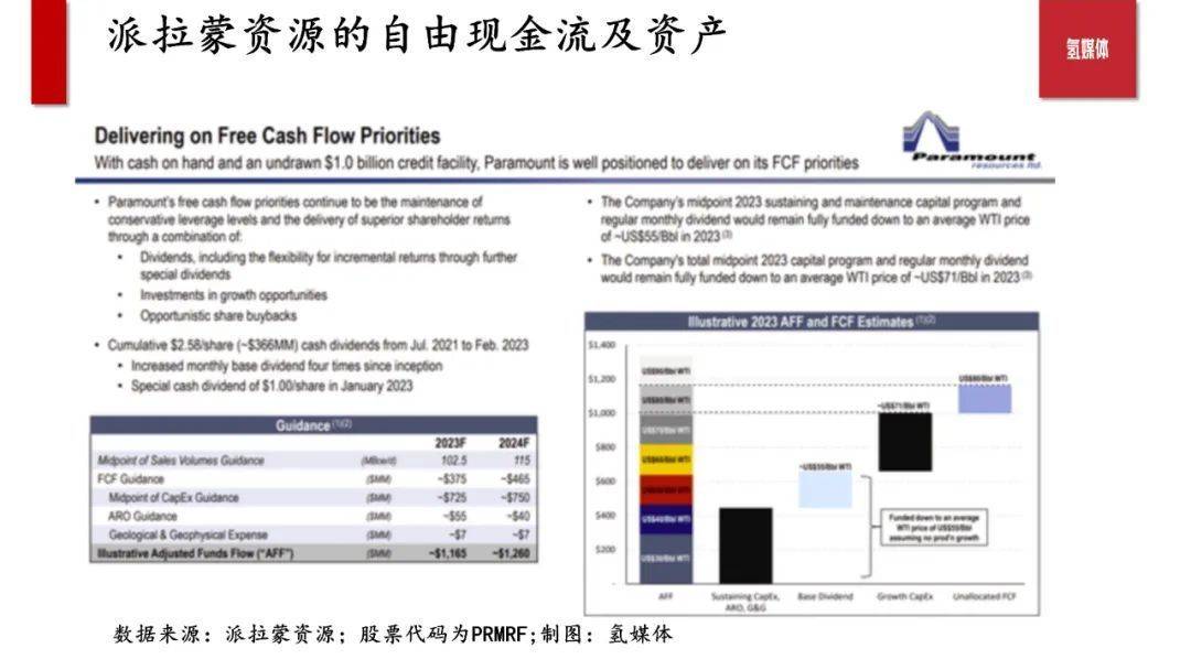 加拿大石油勘探公司派拉蒙资源 专业赛道的隐形冠军