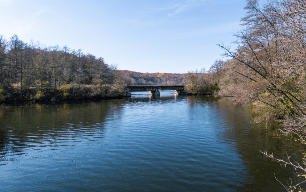 创业板etf期权佣金最低是多少？怎么调整？