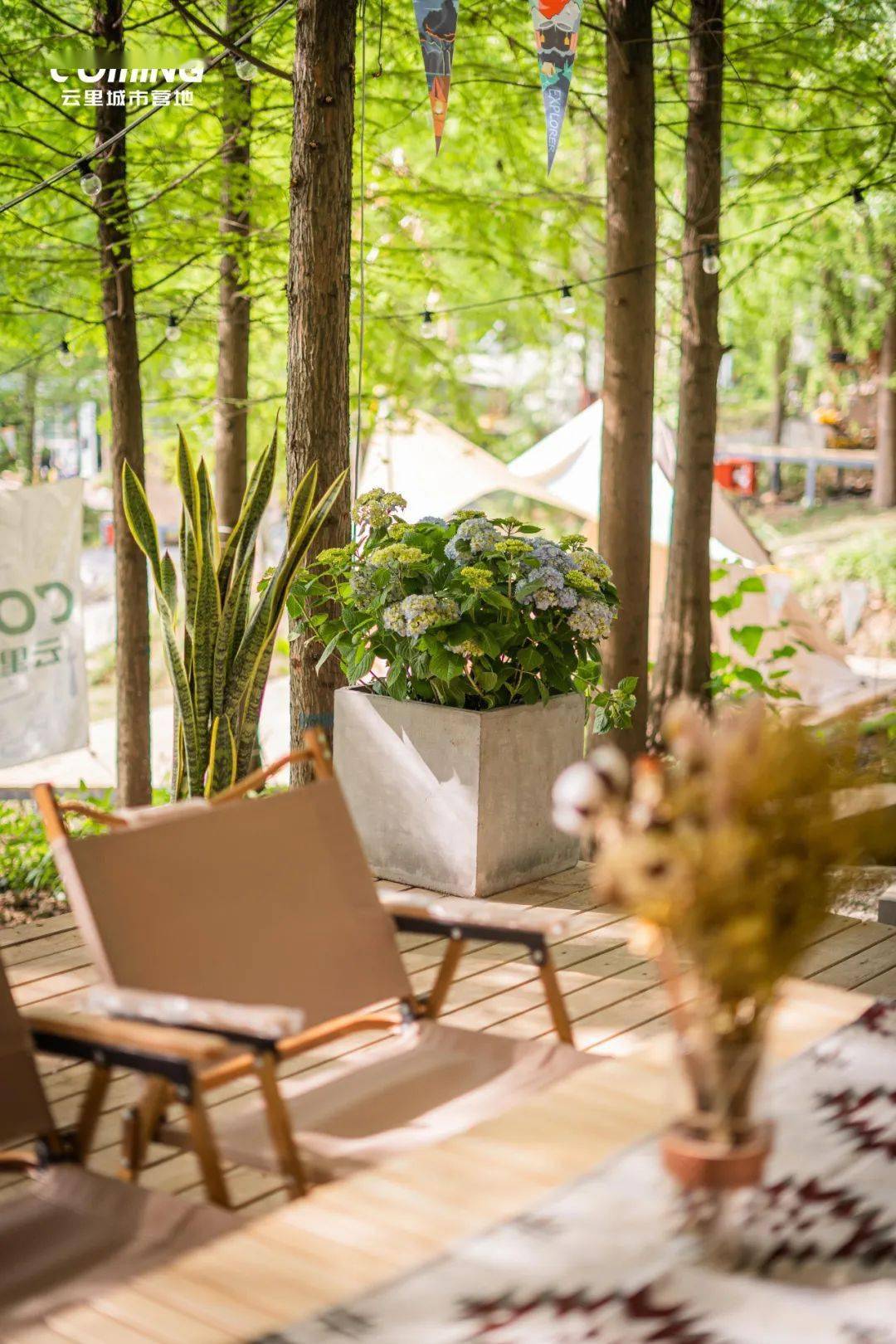 春天的第一场露营<strong></p>
<p>三板股票行情查询</strong>，有这些好去处