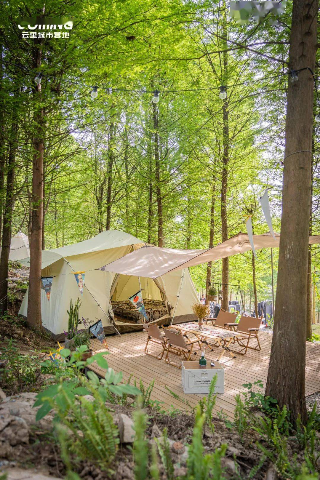 春天的第一场露营<strong></p>
<p>三板股票行情查询</strong>，有这些好去处