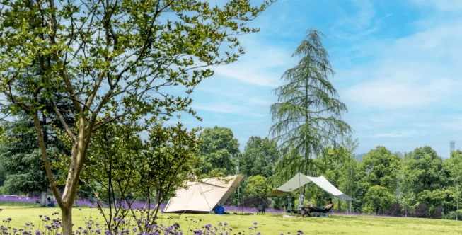 春天的第一场露营<strong></p>
<p>三板股票行情查询</strong>，有这些好去处