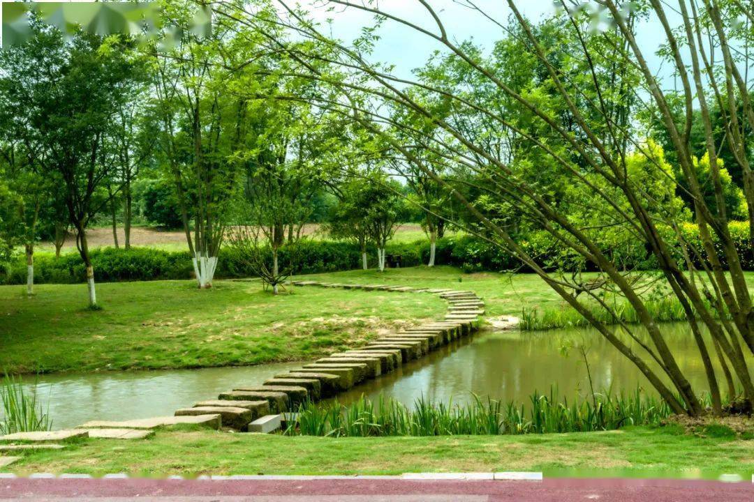 春天的第一场露营<strong></p>
<p>三板股票行情查询</strong>，有这些好去处