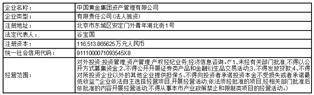 宜宾天原集团股份有限公司 非公开发行股票上市公告书(摘要)