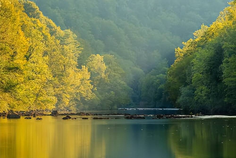 etf期权有哪些交易规则和技巧？