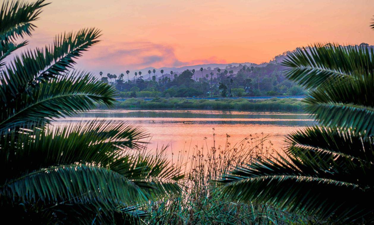 ai绘画软件哪个好用？