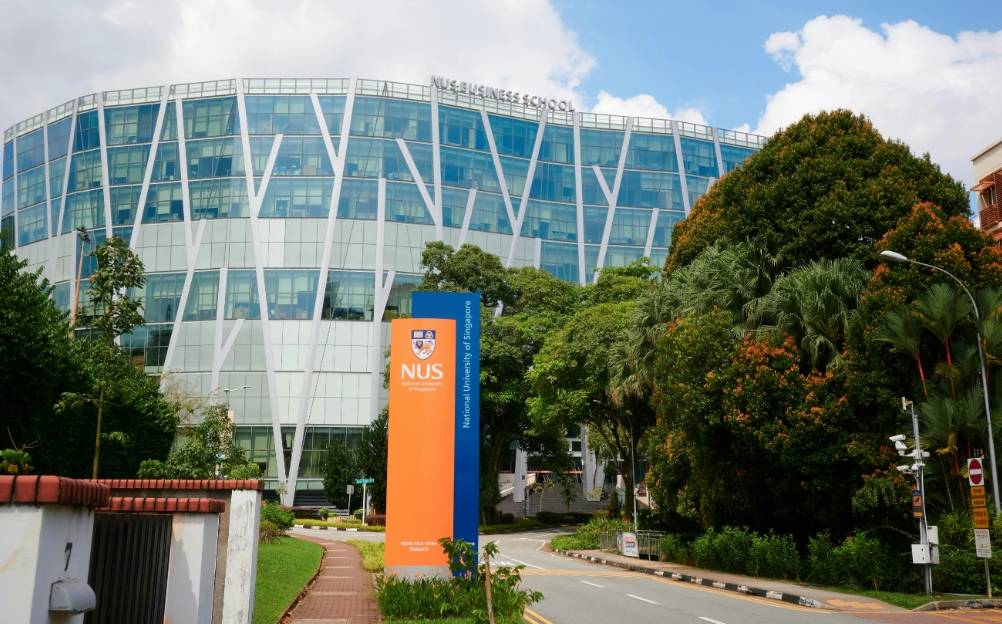 三个方面详细解析新加坡留学硕士一年多少钱<strong></p>
<p>共生币一个多少钱</strong>？多少人民币？