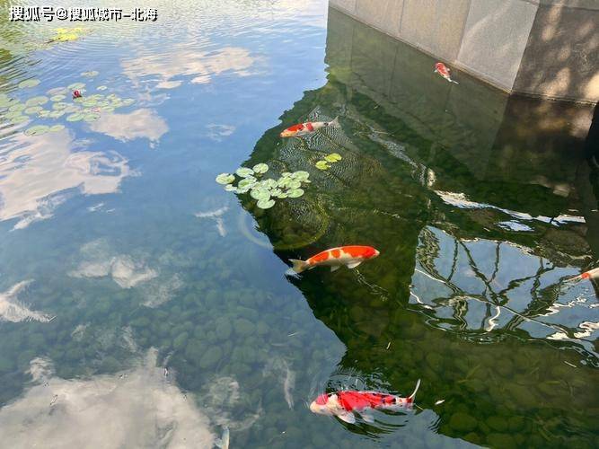 华东旅游4日游多少钱一个人<strong></p>
<p>共生币一个多少钱</strong>？华东旅游4天大概多少人民币