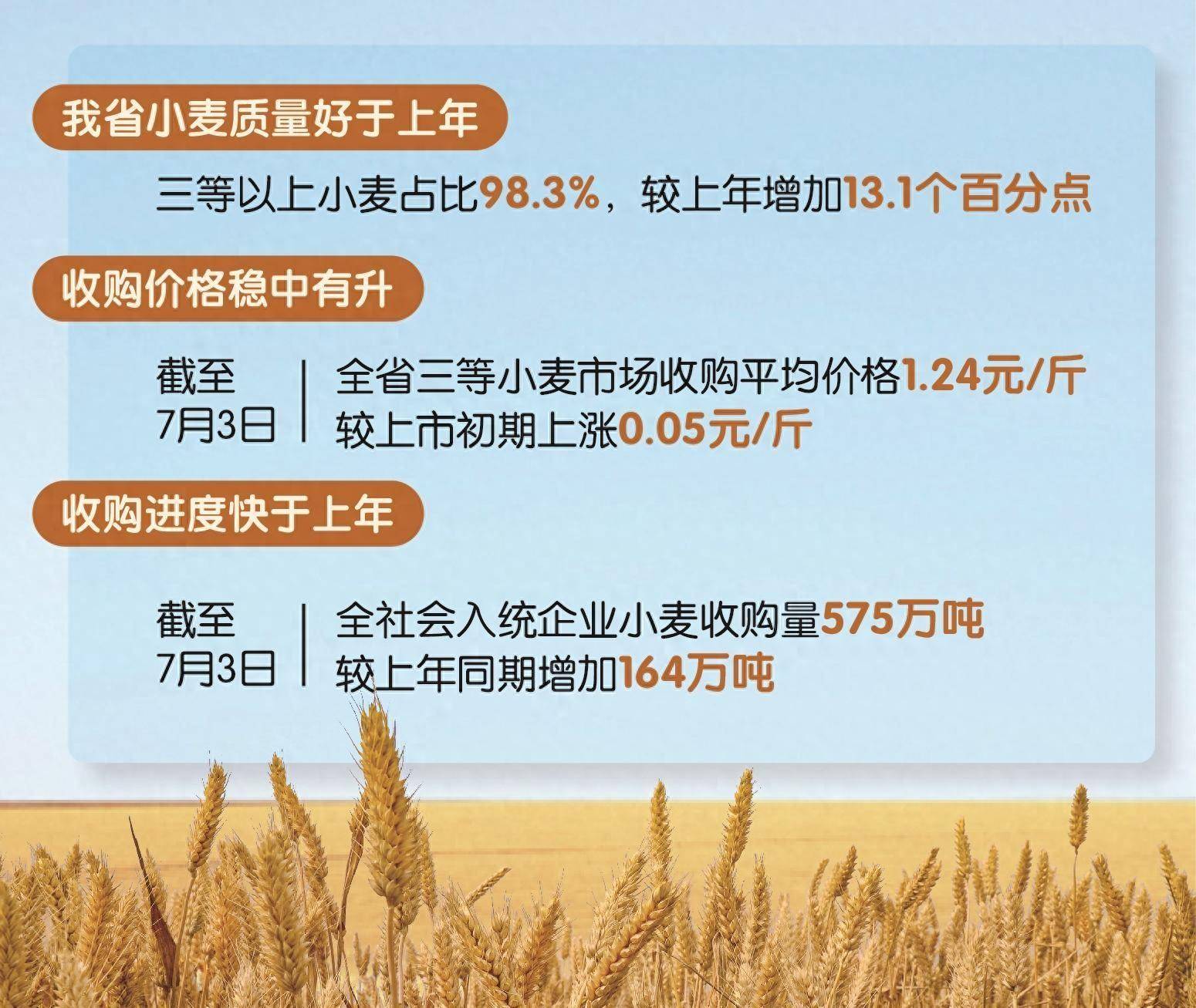 安徽省夏粮收购价格稳市场活