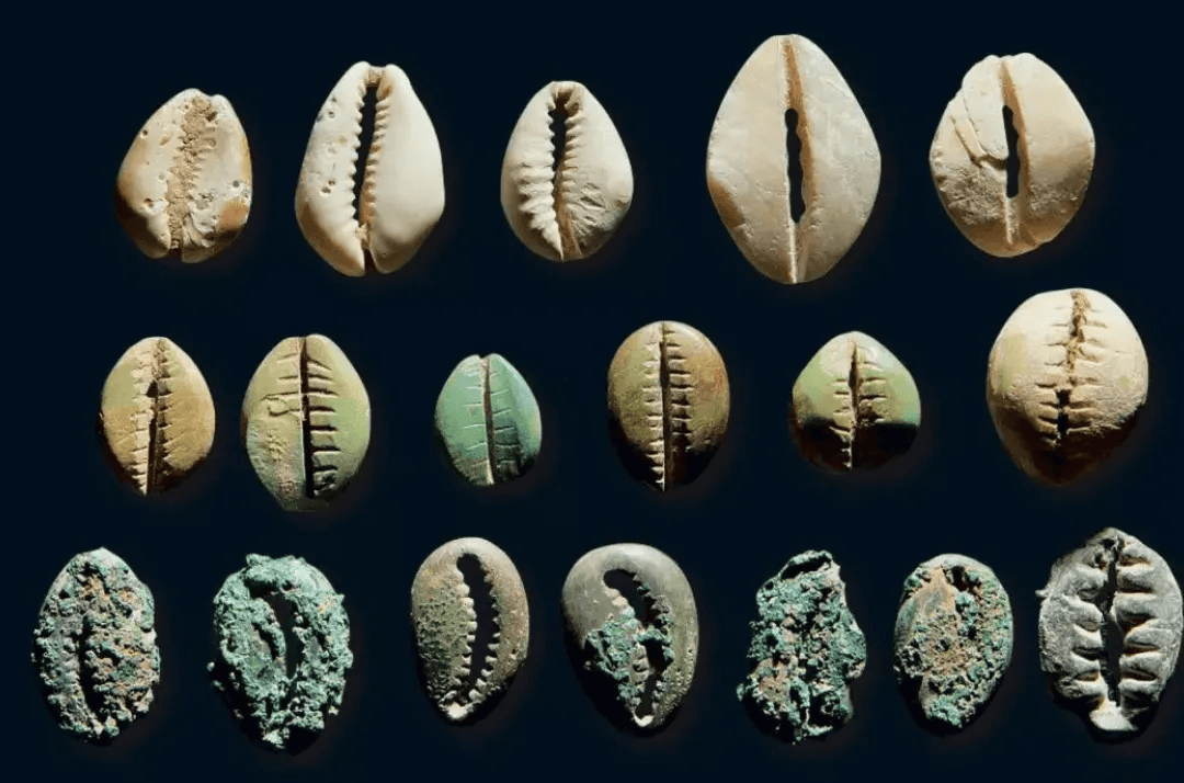 古代用贝壳做货币<strong></p>
<p>电子货币是不是货币</strong>，是不是捧把蚬子扇贝蛤蜊穿越回去就成富翁了？