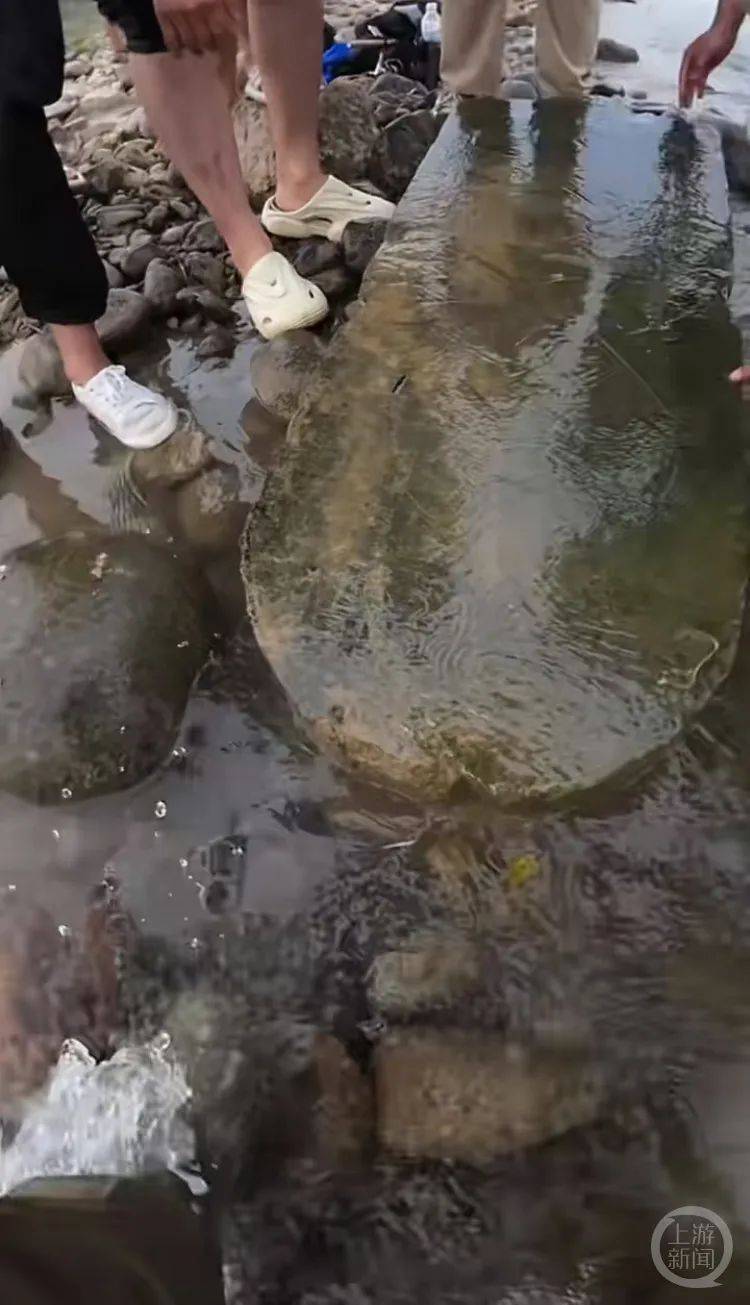 “当时就无心钓鱼了<strong></p>
<p>分离交易可转换债券</strong>！”河南钓友在洛阳附近“钓”到古碑？文保部门回应